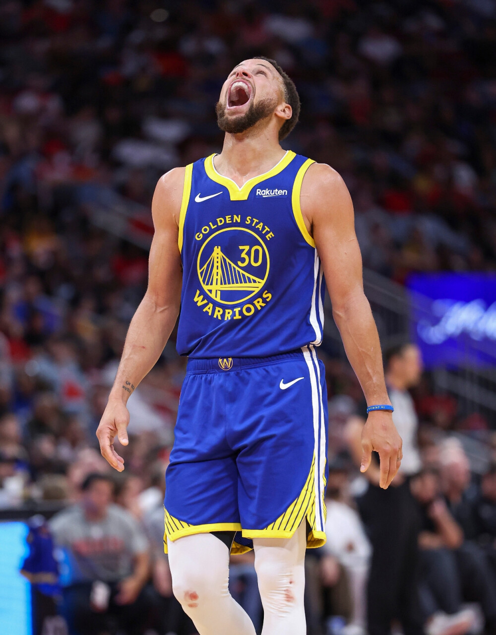 不仅展示了 不仅展示了