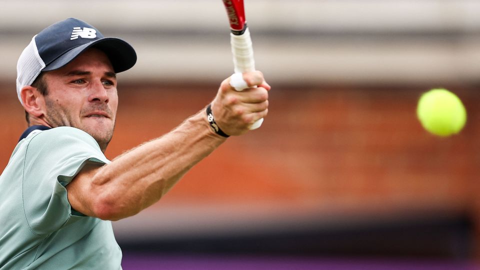 表现出逐步 表现出逐步