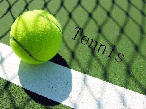 羽坛赛场风 羽坛赛场风