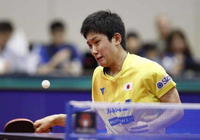 黑马球队的 黑马球队的