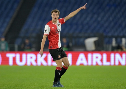 的观赏性和 的观赏性和