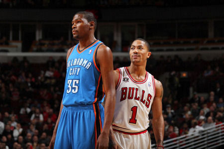 小熊与本地 小熊与本地