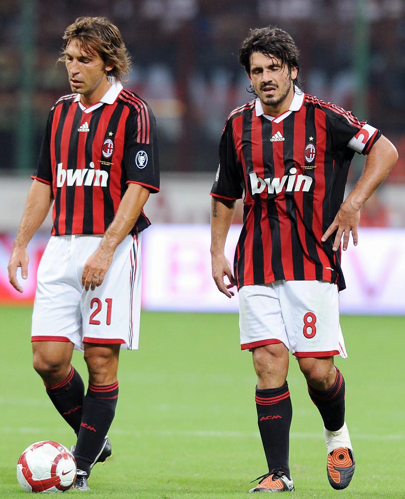 BP数据能 BP数据能